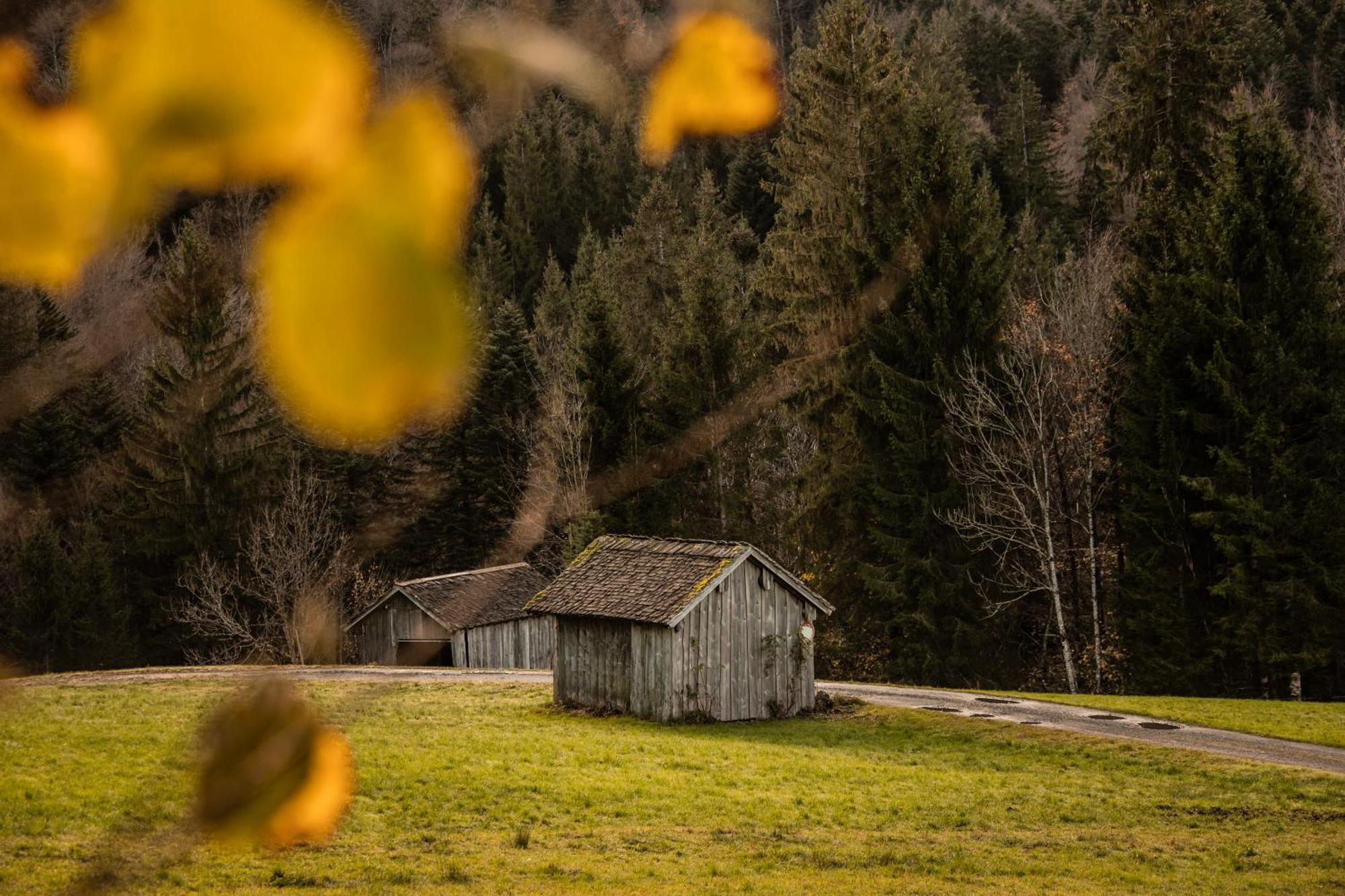 Ferienhof Landerleben Egg Kültér fotó